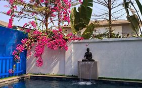 Casa Bonita Prime Rose